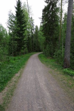 Ormana giden yolu daralt.