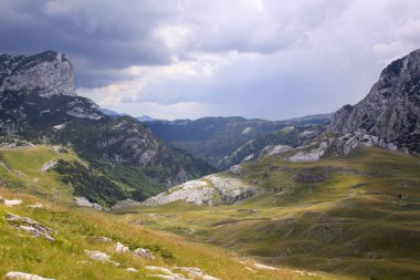 Karadağ ulusal parkında Durmitor Ring karayolu panoraması. Yüksek dağların manzarası, yeşil alp bitkisi ve kıvrımlı yol