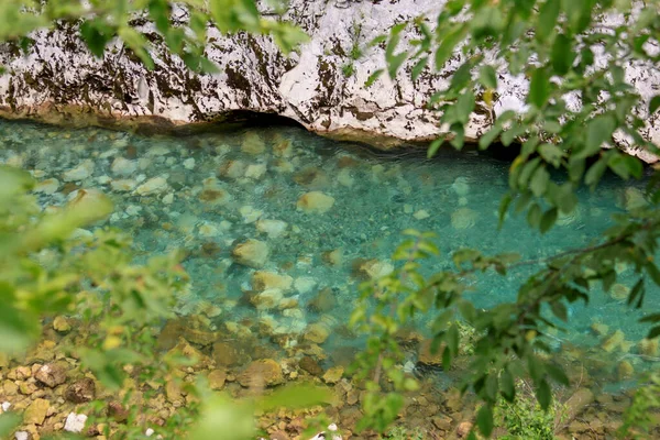 Turkos Klart Vatten Tara Floden Genom Vegetation Montenegro — Stockfoto