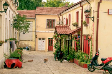 Makedonya 'nın Üsküp eski kent merkezindeki boş cadde. Tecrit sırasında dışarıda kimse olmaz, sadece evcil hayvanlar.