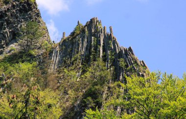 Basaltic columns emerging from forest, at Detunata, in Transylvania, Romania clipart