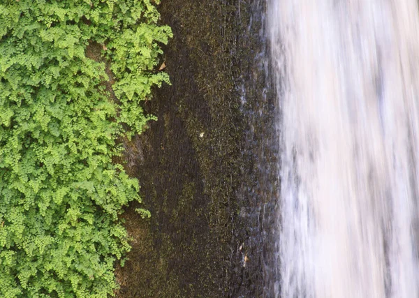 Detalhe Closeup Cachoeira Com Fluxo Água Vegetação Verde — Fotografia de Stock