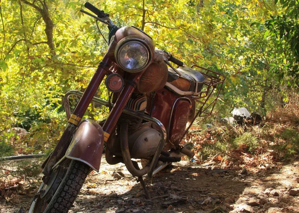 Vintage Retro Grunge Motorcycle Parked Outdoors Forest — Stock Photo, Image