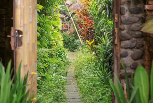Porta Cancello Entrare Nel Concetto Tradizionale Giardino Balinese Dettaglio Paesaggistico — Foto Stock