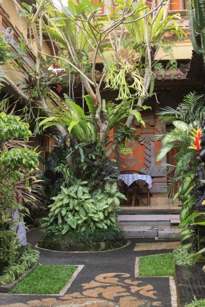 Interno Del Giardino Tradizionale Balinese Dettaglio Paesaggistico Verticale Giardino Patio — Foto Stock