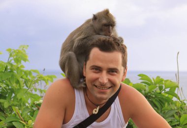 Turist, Endonezya 'nın Bali kentindeki Uluwatu Tapınağı' nda maymunlarla oynaşıyor ve onları tımar ediyor.