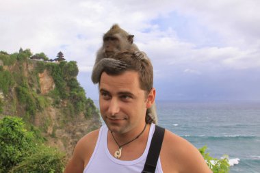 Turist, Endonezya, Bali 'deki Uluwatu Tapınağı' ndaki maymun kafasıyla etkileşime girer.