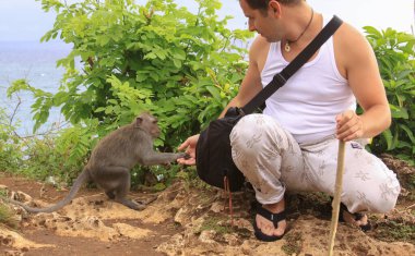 Macak maymunu Uluwatu Tapınağı, Bali, Endonezya 'da gezginlerden çalıyor.