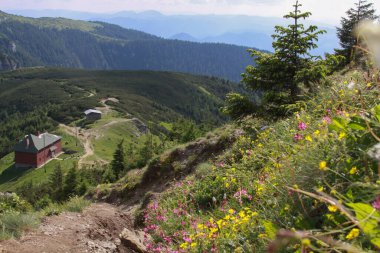 Ceahlau Massif, Romanya 'nın en güzel dağlarından biridir. Yürüyüşçüler ve turistler için işaretli patikalar olduğu için çok iyi bir yürüyüş yeri olduğunu düşünebilirsiniz..