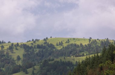 Yeşil dağ ve bulutlu gökyüzü manzarası Transilvanya. Lacu Rosu, Romanya 'nın Cheile Bicazului ve Ceahlau Dağları yakınlarındaki popüler bir seyahat beldesi.