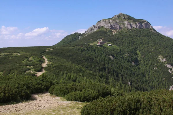 Ceahlau Massifはルーマニアで最も美しい山の1つです ハイカーや観光客のために作られた重要なトレイルがあるので あなたはそれが非常に良いハイキング先を見つけるでしょう — ストック写真