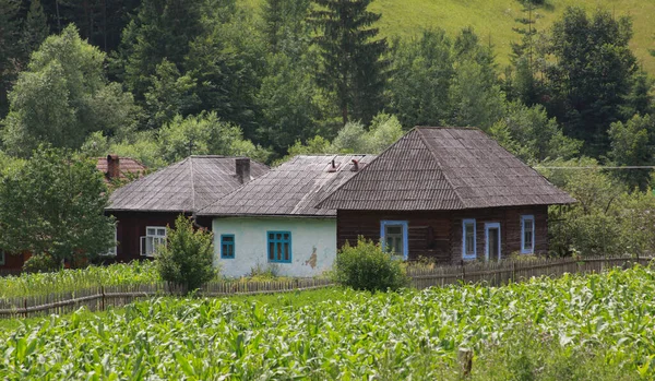Hagyományos Házak Moldva Erdély Románia Határán Hagyományos Falusi Házak Hegyekben — Stock Fotó