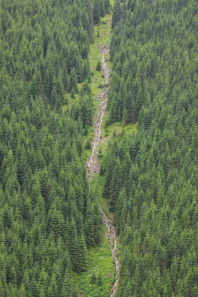 Aerial drone view of river running down in forest on mountain slope in Rodnei mountains, Transylvania, Romania. high top view. Aerial drone photo with wonderful texture