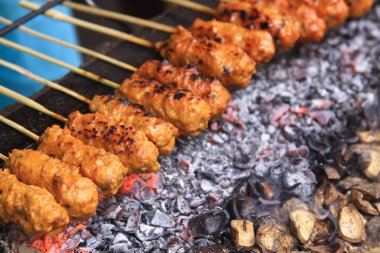 Lombok, Endonezya 'da kızartılmaya hazır taze sate çubukları. Keçi, tavuk, domuz eti ve balık eti ızgaraya hazır salamura ile bir tabakta sıkışmış. Satay ya da sate denilen geleneksel Endonezya yemeği, fıstık sosuyla servis edilir. Sokak yemeği..