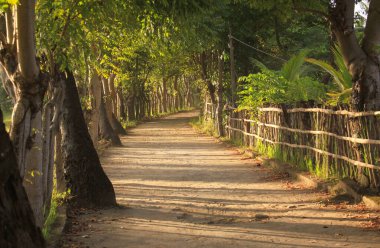 Öğleden sonra, Gili Hava Adası, Lombok, Endonezya 'da ağaçlar, çitler ve yeşil bitki örtüsüyle birlikte boş kırsal kesimlerdeki toprak yol.