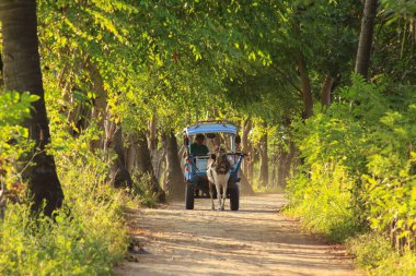 Şoförlü Cidomo at arabası ve Gili Hava Adası, Lombok, Endonezya 'da toprak yolda turist yok.
