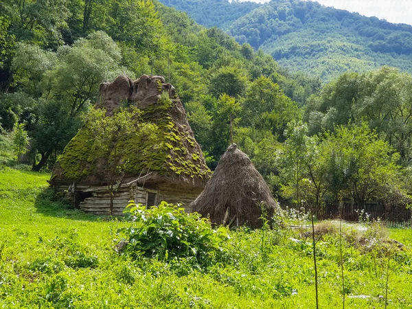 ルーマニアのアプセニ山脈にある伝統的な茅葺き屋根の木造家屋を放棄しました 屋根の上で成長しているモス 山の中の荒廃した地域の森の中で家を探しているグランジ — ストック写真
