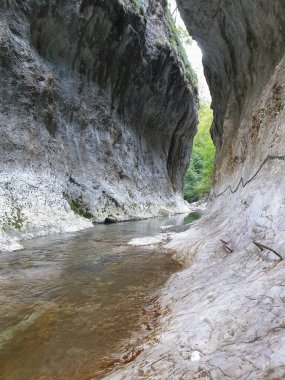 Cheile Rametului vahşi doğal park nehir bölgesini dolduruyor. Romanya 'nın Transilvanya kentindeki Alba ilçesindeki küçük bir nehirde şelale. Metal kablolar Cheile Rametului geçidi, Transilvanya