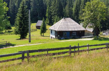 Apuseni dağları, Transilvanya, Romanya 'daki Scarisoara köyündeki geleneksel ahşap ev mimarisi.