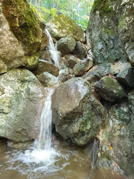 Cheile Plaiului Wąwozy Naturalne Obszar Rzeki Wodospad Małej Rzece Gęstym — Zdjęcie stockowe