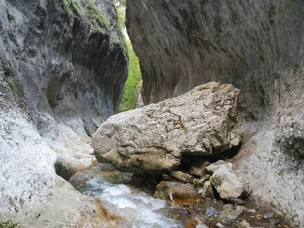 Cheile Rametului Gargantas Salvaje Parque Natural Zona Del Río Cascada — Foto de Stock