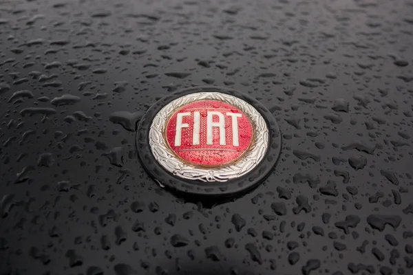 Puente Arce, İspanya - 19 Şubat 2011: Cantabria, İspanya 'da düzenli klasik araçların rallisi. Yarışmaya katılan FIAT rozetinin ayrıntıları.