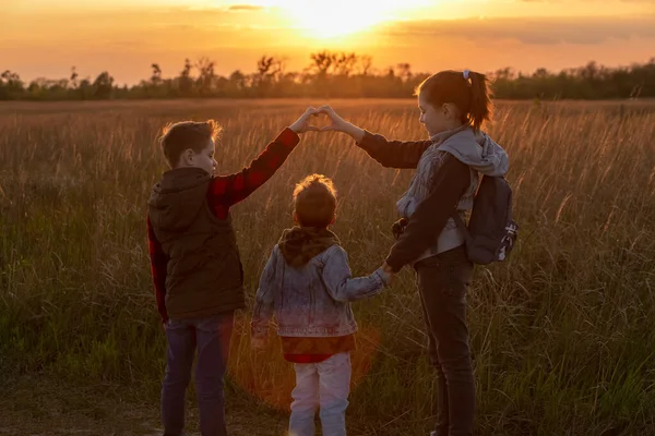 Les Enfants Coucher Soleil Dans Champ Montrent Cœur Leurs Doigts — Photo