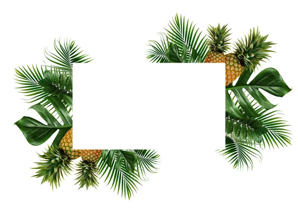 Tropische Blätter Rahmen Isoliert Auf Weißem Hintergrund — Stockfoto
