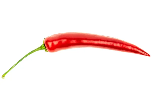 Beyaz arka plan stüdyosunda kırmızı biber.