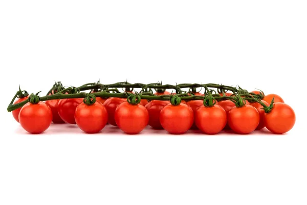 Cherry Tomatoes Green Branch Photographed White Background Studeio Shot — Stock Photo, Image