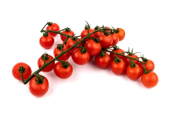 Tomates Cereja Ramo Verde Fotografado Fundo Branco Studeio Tiro — Fotografia de Stock
