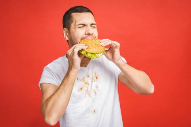 Abur cubur yiyen komik, aç sakallı adam. Heyecanlı genç adam aç gözlülükle kırmızı arka planda izole edilmiş hamburgerleri yiyor..