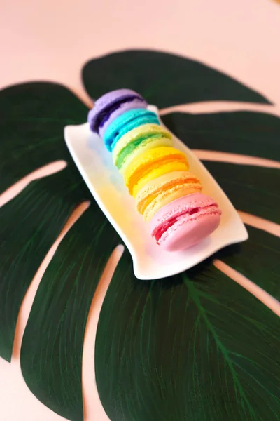 Resmin ortasındaki tropikal canavar bitki plakasının üzerinde beyaz dikdörtgen üzerinde duran altı farklı el yapımı badem kurabiyesi içeren minimalist kompozisyon. Pembe, mavi, açık yeşil kurabiyeler.