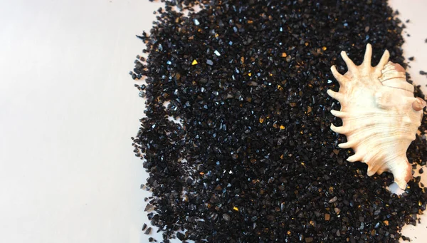 Minimalist yassı düz, büyük kristaller, kabuklar ve kuru ağıllarla Karadeniz tuzundan oluşuyordu. Beyaz bir zemine serpiştirilmiş deniz banyosu tuzu. Doğal malzemelerle el yapımı kozmetik konsepti