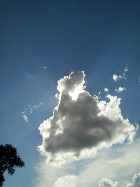 Pequeña Nube Trueno Cielo Azul Sobre Corona Los Árboles — Foto de Stock