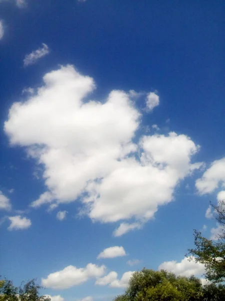 Nube Blanca Sobre Los Árboles Día Soleado —  Fotos de Stock