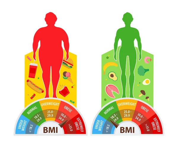 Fogyás koncepció. Testtömeg index. BMI. Diéta és fitnesz előtt és után. Különböző súlyú test. Egészséges életmód. — Stock Vector