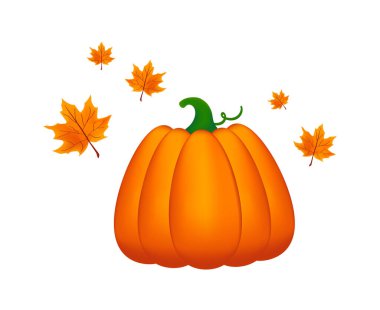 Kabak ve yaprakların sonbahar kompozisyonu beyaz arkaplanda.