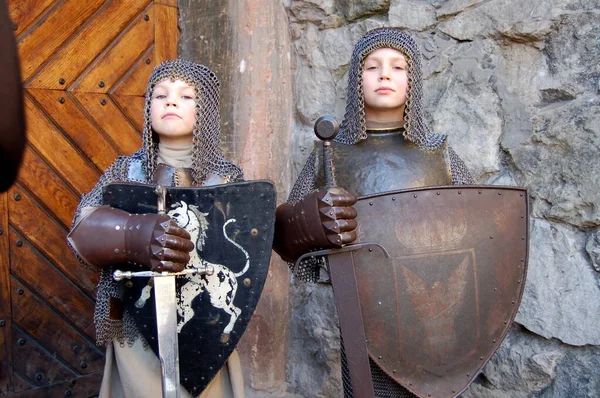 Erkek Kardeşler Şövalye Kostümü Giymiş — Stok fotoğraf