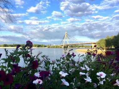 Çiçeklerle dolu şehir manzarası Gökyüzü ve nehir