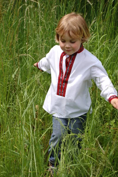 Criança Ucraniano Bordado Camisa Retrato — Fotografia de Stock