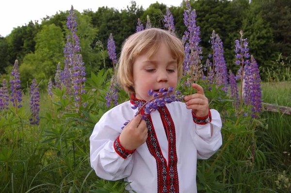 Дитина Українському Вишитому Портреті Сорочки Квітами — стокове фото
