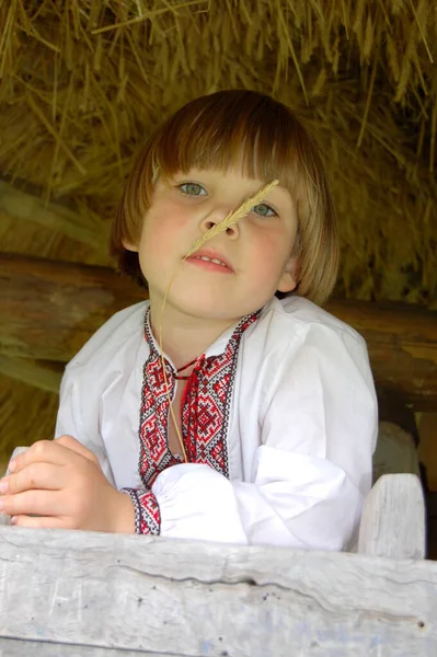 Enfant Ukrainien Brodé Portrait Chemise — Photo