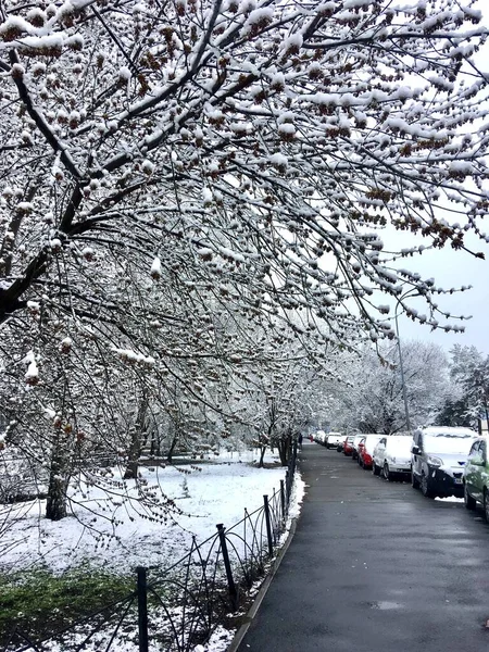 Paesaggio Urbano Con Strada Primaverile Innevata — Foto Stock