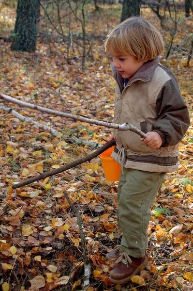 Дитячий Хлопчик Прогулянці Восени Лісі — стокове фото