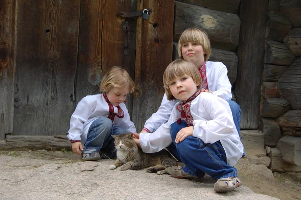 Παιδιά Στην Ουκρανία Κεντημένα Πουκάμισα Μια Γάτα Εξωτερικούς Χώρους Καλοκαίρι — Φωτογραφία Αρχείου
