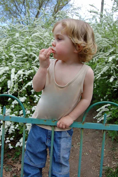Маленький Хлопчик Світлим Волоссям Прогулянці Парку Навесні — стокове фото