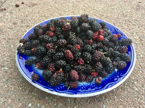 Plate Ripe Fresh Black Mulberries Nature Close — Stock Photo, Image