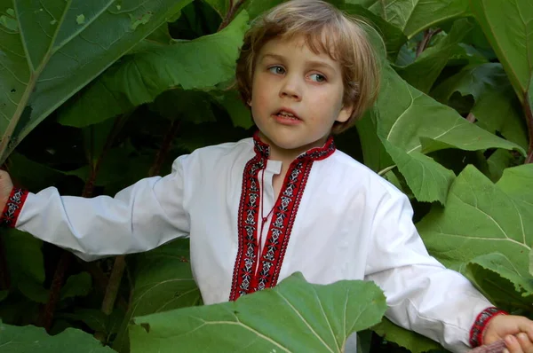 Retrato Uma Criança Uma Camisa Ucraniana Bordada Verão Parque Entre — Fotografia de Stock