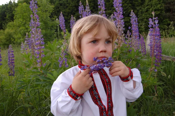 Портрет Хлопчика Українській Вишитій Сорочці Влітку Квітами Природі — стокове фото
